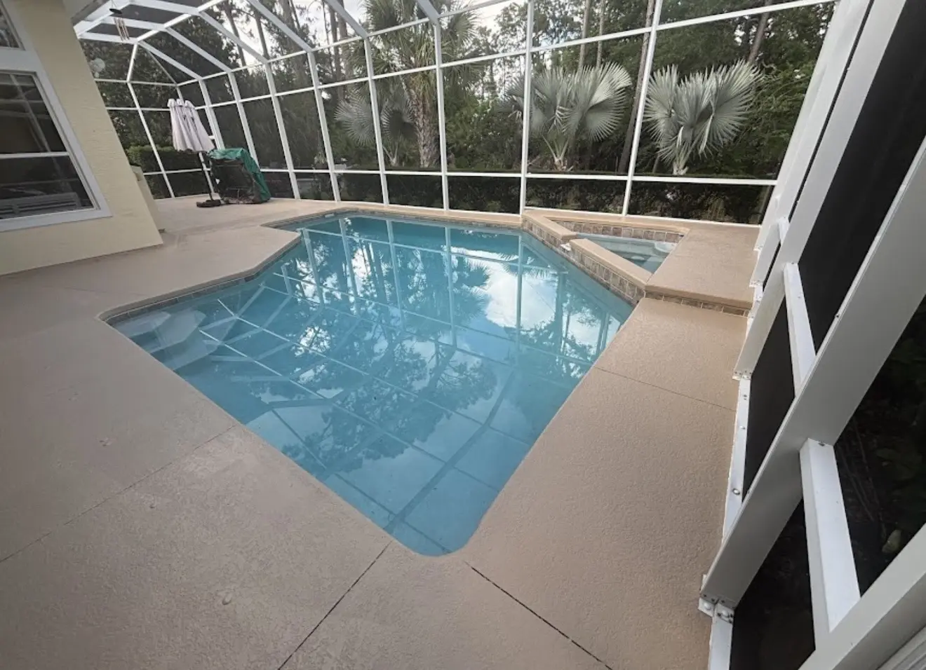 Clean screened pool and surrounding pool deck